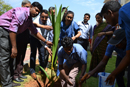 Smt. Shakuntala D.Gamlin, Secretary (DEPwD) plant a sapling in NIEPMD campus